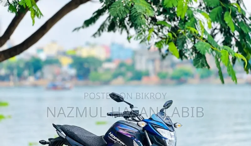 Used Honda Hornet 160 full